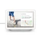 Умная колонка с экраном Google Nest Hub 2nd Generation Kreide (Европейская версия) - изображение 1