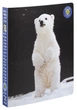 Папка деловая на кольцах Exacompta Wildlife - изображение 1