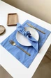 Салфетки из хлопка TouchableLinen 1 шт Голубой Хлопковые салфетки для сервировки стола 50х50 см - изображение 4