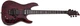 Электрогитара SCHECTER C-1 FR S Silver Mountain BM - изображение 2
