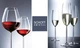 Набор бокалов для вина Schott Zwiesel Diva 460 мл х 6 шт (104095) - изображение 2
