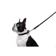 Повідець для собак шкіряний WAUDOG Glamour круглий Д 8 мм Дов 122 см чорний - изображение 6