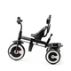 Триколісний велосипед Kinderkraft Aston Grey - изображение 8