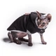 Теплая кофта с рукавом для котов (кошек) с капюшоном Style Pets ADS Sport BLACK XXS - изображение 4