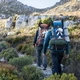 Рюкзак туристический Naturehike NH70B070-B, 70 л+5 л, голубой - изображение 9