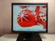 Монітор Acer B193 / 19" (1280x1024) TN / DVI, VGA / VESA 100x100 / Вбудовані колонки (2x 1W) б/в - зображення 2