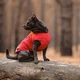 Жилет для животных Pet Fashion "E.Vest" S красный (4823082424450) - изображение 5