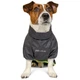 Комбінезон для тварин Pet Fashion "RAIN" XS (4823082416431) - зображення 2