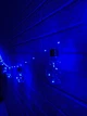 Светодиодная гирлянда "Лампа Эдисона" RD-9009 75LED 8 лампочек 2,5м Цвет Синий - изображение 1