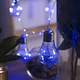 Светодиодная гирлянда "Лампа Эдисона" RD-9009 75LED 8 лампочек 2,5м Цвет Синий - изображение 9