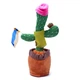 Танцующий поющий кактус с микрофоном Олег Патриот Dancing Cactus с подсветкой 32 см повторюшка и USB зарядка - изображение 2