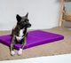 Матрас Lucky Pet Харлей для собак и кошек №1 40 x 50 x 5 см Фиолетовый (4820224213064) - изображение 5