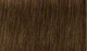 Перманентная крем-краска для волос Indola Permanent Caring Color 5.03 Светло-коричневый натуральный золотистый 60 мл (4045787934908/4045787931303) - изображение 2