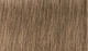 Перманентная крем-краска для волос Indola Permanent Caring Color 9.82 Очень светлый шоколадный жемчужный блонд 60 мл (4045787929782) - изображение 2
