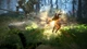 Ключ активации Black Desert: Traveler Edition для Xbox One/Series - изображение 7