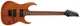 Электрогитара Ibanez RG421 MOL - изображение 2
