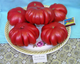 Насіння Томат Грибний лук, 0,15 г (GL Seeds) - зображення 3