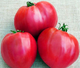 Насіння Томат Гопак, 0,15 г (GL Seeds) - зображення 2