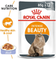 Вологий корм для дорослих кішок Royal Canin Intense Beauty in Jelly 12 x 85 г (9003579311790) - зображення 3