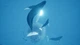 Ключ активації ABZU для Xbox One/Series - зображення 6