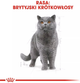 Mokra karma dla dorosłych kotów Royal Canin Adult British Shorthair 12 x 85 g (9003579001240) - obraz 5