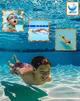 Беруши и зажим для носа VelaSport 2 в 1 в чехле кейсе 32дБ для Взрослых и подростков Многоразовые затычки в уши и затычки в нос для плавания в бассейне, путешествия, дайвинга Синие - изображение 8