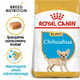 Сухий корм для цуценят Чихуахуа Royal Canin Чихуахуа Puppy 1.5кг (3182550722544) (24380151) - зображення 3