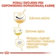 Sucha karma dla psów rasy shih tzu Royal Canin 1.5 kg (3182550743228) - obraz 4