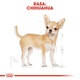 Sucha karma dla psów Chihuahua Royal Canin 500g (3182550718813) (2210005) - obraz 3