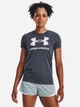 Футболка Under Armour UA Rival Logo 1356305-044 L (196040257754) - изображение 1