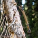 Siekiera Gerber Bushcraft Axe Coyote (1059849) - obraz 5