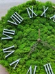 Часы со мхом 30 см MiNature Moss - изображение 2