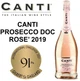 Вино игристое Canti Prosecco Millesimato Rose розовое сухое 0.75 л 11% (8005415059492) - изображение 7