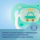 Пустышка Canpol Babies Toys силиконовая симметричная 0-6 месяцев Зеленая (23/291 Зелений) - изображение 7