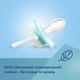 Пустышка Canpol Babies Toys силиконовая симметричная 18+ месяцев Зеленая (23/293 Зелений) - изображение 4