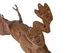 Динозавр Same Toy Dinosaur Planet Тиранозавр коричневый (свет, звук) RS6133Ut - изображение 7