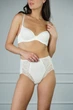 Жіночі трусики-сліпи з мереживом Janira 32185 ivory 46(L) Айворі - зображення 1