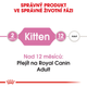 Sucha karma dla kociąt Royal Canin Kitten 2 kg (3182550702423) (2522020) - obraz 3