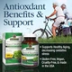 Nature's Answer Brocco-Glutathione 60 капсул - зображення 3