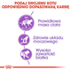 Sucha karma dla dorosłych sterylizowanych kotów Royal Canin Sterilized 2 kg (3182550737593) (2537020) - obraz 4