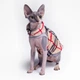 Теплая кофта без рукава для кота или кошки Style Pets "BARB sleeveless" XL - изображение 3