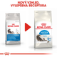 Сухой корм для домашніх котів Royal Canin Indoor LongHair 2 кг (3182550739382) (25490209) - зображення 8