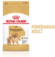 Sucha karma dla dorosłych psów Royal Canin French Bulldog Adult 500 g (3182550908436) (1255005) - obraz 2