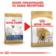 Sucha karma dla dorosłych psów Royal Canin Buldog Francuski Adult 9 kg (3182550846042) (3991090) - obraz 8