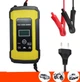 Зарядное устройство для автомобильного аккумулятора 12V 6A Autoexpect (06010) - изображение 1