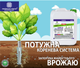 Набор удобрений Украинские гуматы COMPLEX органических для основной подкормки, реанимирования с янтарной кислотой, комплексом микроэлементов и аминокислот, концентрат 10 кг + 10 кг (48202191901272) - изображение 5
