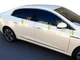 Renault Megane IV (2016-2025) - Нижня окантовка скла OmsaLine - 6 шт, нержавіюча сталь, Італія - зображення 1