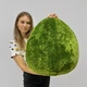 Мягкая плюшевая игрушка Авокадо Подушка сквиш Squishable 65 см Зеленый - изображение 3