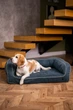Диван для собак Harley and Cho Sleeper M 65х90 см Denim (3103187) (2200000030399) - изображение 6