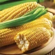 Насіння Кукурудза Добриня F1 10г Lark Seeds - зображення 2